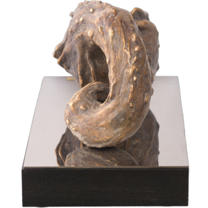 The author's bronze sculpture "Unidentified object #1"